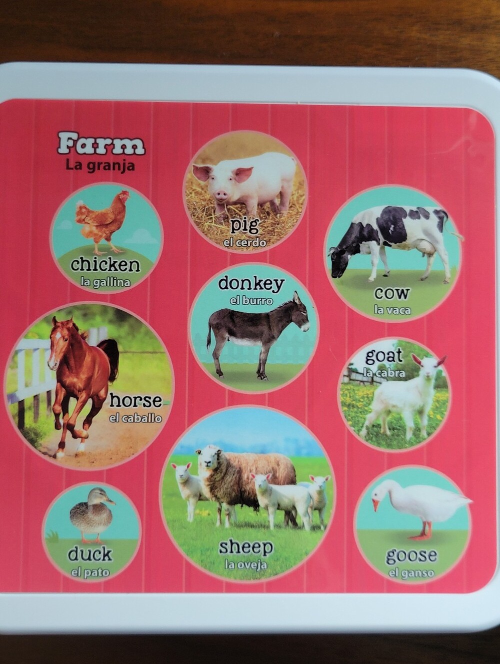 LeapFrog Words And Animals Learning Books (2) - Picture 11 of 15